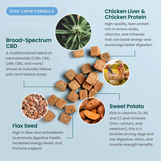R&R Multifunctional CBD Dog Chews