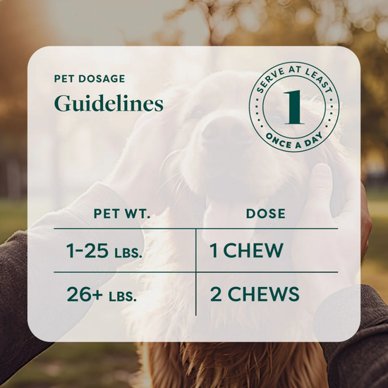 R&R Multifunctional CBD Dog Chews