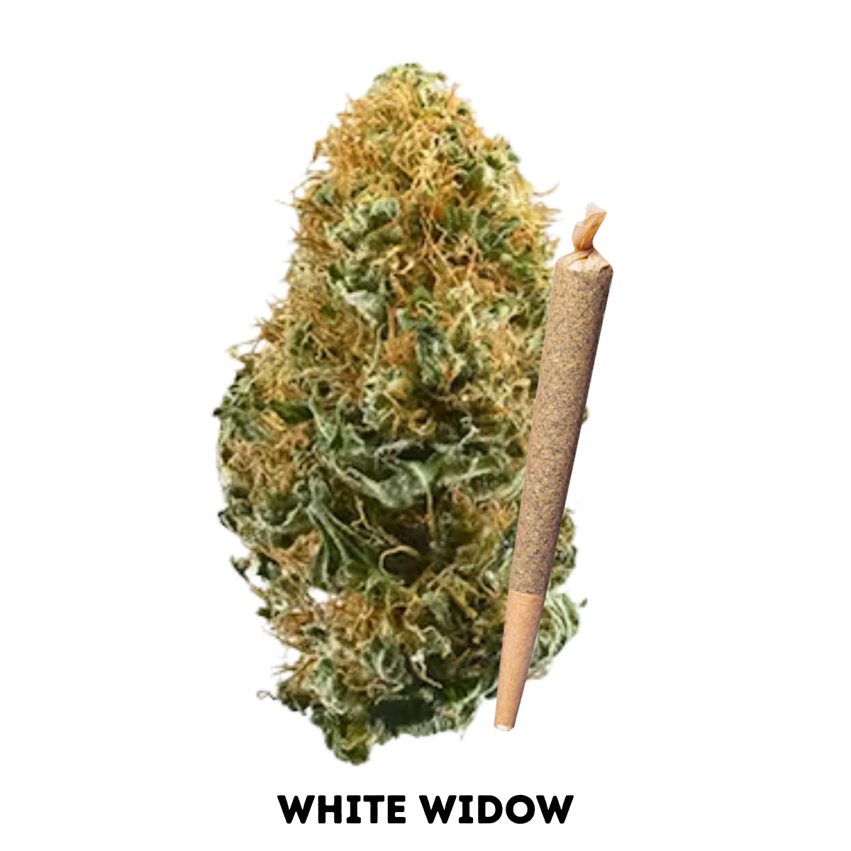 Premium Bulk Flower